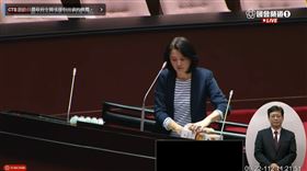 陳建仁、王鴻薇（圖／翻攝自國會頻道）