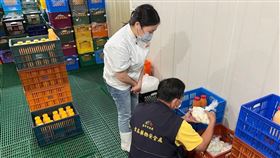 台中液蛋廠，金寶公司、新德貿公司，進口蛋製作成液蛋，錯標產地，畜產會認知錯誤，農業部承認致歉：督導不周 (圖／台中市政府提供)