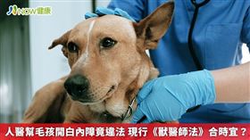 名家專用／依照現行《獸醫師法》規定，不具有獸醫師身份，以及執照，是不可以為動物做任何的醫療行為，如果違反的話，面臨10萬到50萬罰鍰。（勿用）