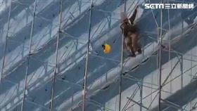 台中綠美圖越南移工墜樓身亡。（圖／翻攝畫面）