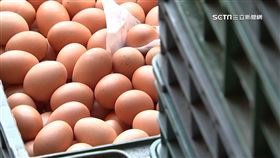 蛋價回穩！佛系店家調降價格