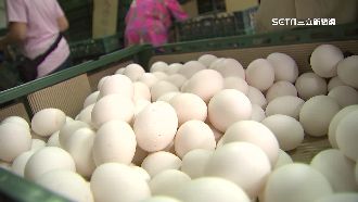 本土蛋明起漲！蛋商公會估：10元漲幅空間