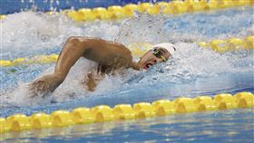 亞運游泳好手王星皓。（圖／中華奧會提供）