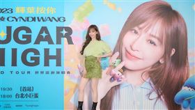 王心凌（圖／天晴娛樂提供）