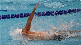 台灣仰泳好手莊沐倫。（圖／中華奧會提供）