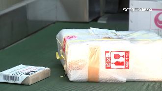 中秋加強查緝！包裹「檢疫犬」嚴堵豬瘟