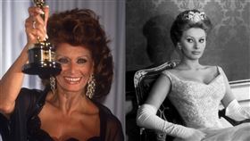 義大利傳奇女星蘇菲亞·羅蘭（Sophia Loren）在家中摔倒。（圖／翻攝自IMDB）