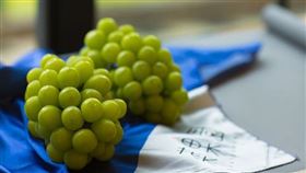 麝香葡萄（圖／Pixabay）