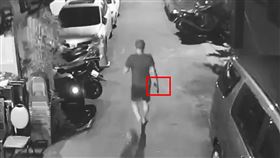 板橋,新北,流浪貓,喵星人,空氣槍,