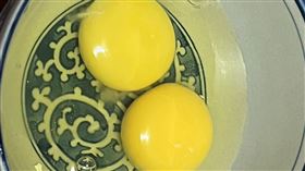 高雄.進口蛋,巴西,台農