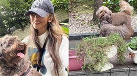 工藤靜香。（圖／翻攝自工藤靜香IG）