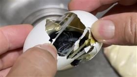 高雄買到「濃稠黑臭」雞蛋　衛生局稽查結果曝