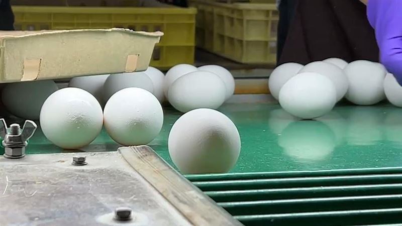 國軍吃巴西蛋？涂萬財遭爆是「供應大戶」