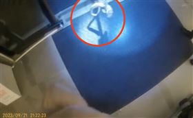 龜殼花,泡湯,舌吻,瑞穗（圖／翻攝自記者爆料網）