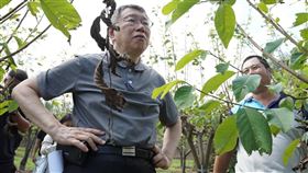 民眾黨總統參選人柯文哲。（圖／翻攝自柯文哲臉書）
