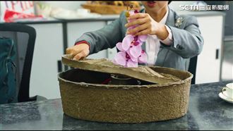 台灣神器超給力　助蒙古種樹存活率達85%