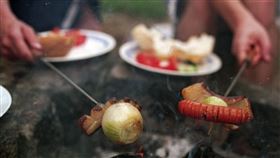 烤肉，洋蔥，香腸，錄影，野炊（圖／翻攝自pixabay）