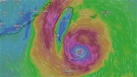 小犬颱風, 翻攝自windy