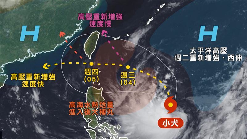小犬有效率增強中　「1情境」侵台機率高