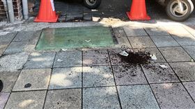 新北市，永和，盆栽，掉落，