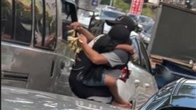 新北市,三重,玉蘭花,