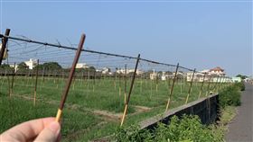 Pocky,廠商,農田,零食,餅乾
圖路上觀察學院,