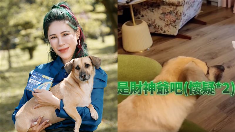 愛犬突盯一處狂吠　網紅：是財神爺來了