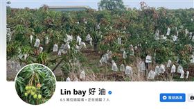 Linbay好油,進口蛋,聲押