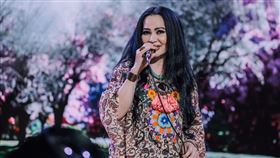 潘越雲（圖／翻攝自潘越雲臉書）