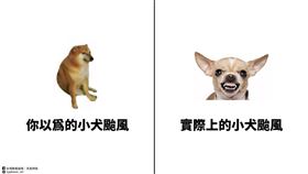 小犬颱風(圖/翻攝自台灣颱風論壇)