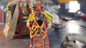 ▲動物也能成神（圖／寶島神很大）