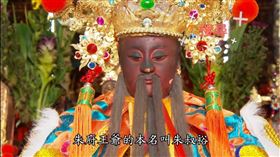 ▲朱府王爺神尊（圖／寶島神很大）