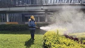 北市本土登革熱＋2，為內湖、萬華區男子，應變工作小組已發動社區清潔。（圖／北市衛生局提供）