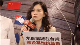 吳欣岱強調，南投選出來的馬文君可能不是南投馬，而是暗藏共產黨禍心的中國馬。（圖／翻攝自吳欣岱臉書）