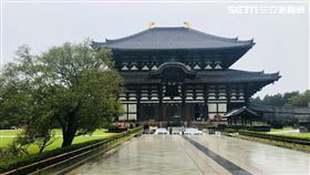 奈良、東大寺（圖／記者許智超攝影）