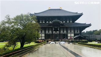 台灣男遊日本遭撞死　跟團第2天就遇死劫