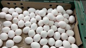 雞蛋(翻攝畫面)