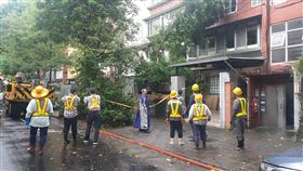 民生社區大樹倒塌。（圖／翻攝畫面）