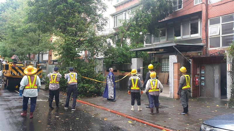 新／小犬暴風圈登台！北市民生社區也樹倒