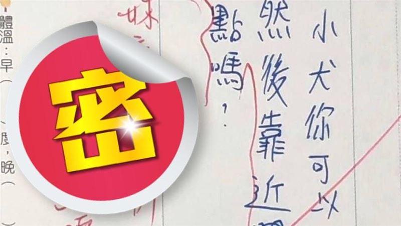 國小生盼小犬颱變大犬！老師神回應網笑歪