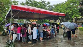 北市長者「冒雨打流感疫苗」讓議員怒了。（圖／翻攝自台北市議員秦慧珠臉書）