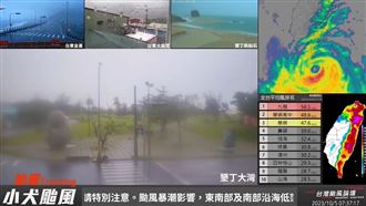 小犬狂風襲墾丁　即時影像曝「南灣斷線」