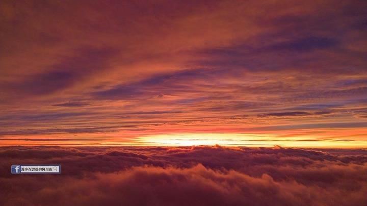 小犬變狂犬？阿里山超美雲海曝「1徵兆」