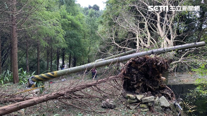小犬強陣風發威　台中近2萬戶一度停電