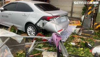 小犬強風成狂犬！採訪車遭擊落玻璃碎整片