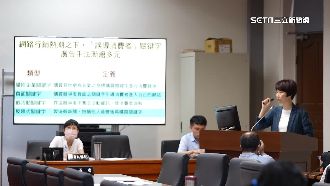 負面反串關鍵字廣告濫用　立委：強化規範