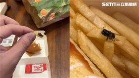 麥當勞.蒼蠅,薯條(讀者提供)