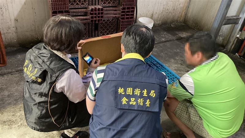 國民黨轟不管美豬流向　食藥署：別扣帽子