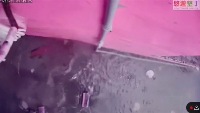 墾丁鏡頭君遭小犬襲擊殉職　網：阿彌陀佛