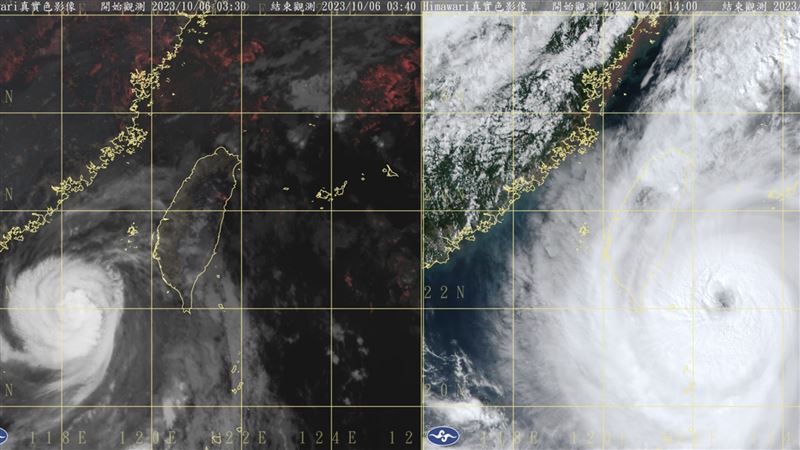 小犬「消風」前後對比曝　網笑：被教化了